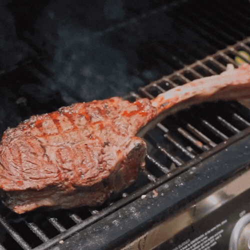 LDV – GRIGLIATE ESTIVE